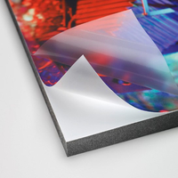 Encapsulation Film Gloss Applicaton