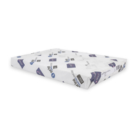 Iprint Digital Uncoated Ream