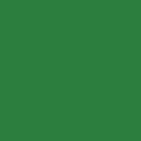Oracal 8300 060 Dark Green