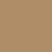 Oracal 631M 081 Light Brown