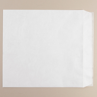 Tyvek Envelope White Pocket 330x250mm Plain 11g
