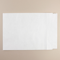 Tyvek Envelope White Pocket 381x250mm Plain 11g