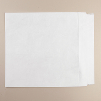 Tyvek Envelope R758124 White Wallet 305x406mm Plain 54gsm