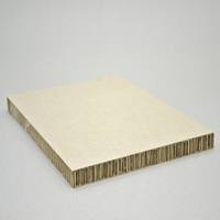Xanita Kraft Sheet