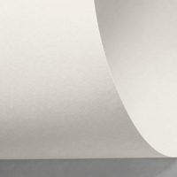 Rives Design Creative Paper Natural White B1 120gsm Pack of 250 Sheets