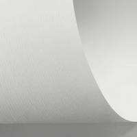 Rives Laid Creative Paper Bright White B1 120gsm Pack of 250 Sheets