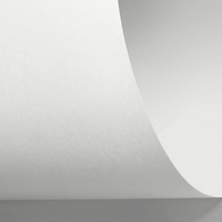 Rives Sensation Tactile Creative Paper Bright White 700x1000mm 140gsm Pack of 250 Sheets