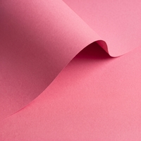 Olin Colours Blush Creative Paper B1 120gsm Pack of 250 Sheets