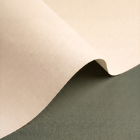 Olin Design Regular Warm White Creative Paper SRA2 120gsm Pack of 250 Sheets