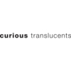 Curious Translucents Clear Envelopes