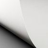 Conqueror CX22 High White Curve