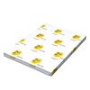 2U Digital Silk White Coated Paper 530x750mm 250gsm Pack of 125 sheets