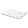 Raflatac Specialties B2 80gsm Score Back Deep Freeze