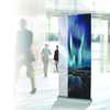 Antalis Display Stands
