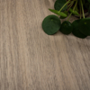 Coala Interior Film Wood NH77 Honey Walnut 1220mm x 50 Metre