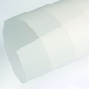 Curious Translucents Creative Paper Clear 650x920mm 110gsm Pack of 250 Sheets
