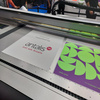 Exten Prime-Ex Opaque 98 Satin White 1065x1575mm 850 Micron