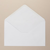 Greeting Card Envelopes Back