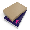 Master'in Access Imitation Kraft Paper 600mmx250m 70 gsm
