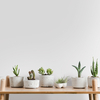 Coala Interior Film Essential N3 Porcelain 1220mm x 50 Metre