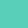 Oracal 751G 055 Mint Green