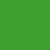 Oracal 631M 064 Yellow Green