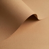 Olin Origins Cereal Creative Paper B1 120gsm Pack of 250 Sheets
