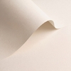 Olin Origins Chalk Creative Paper B1 320gsm Pack of 50 Sheets