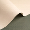 Olin Regular Creative Paper Warm White 450x640mm 90gsm Pack of 500 Sheets